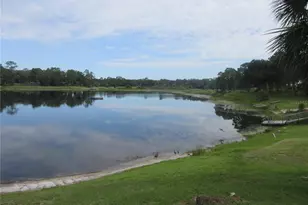 16849 SE 59th Pl, Ocklawaha, FL 32179 - Photo 23