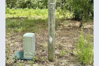00 SW 98th Street, Dunnellon, FL 34432 - Photo 7