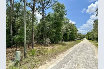 00 SW 98th Street, Dunnellon, FL 34432 - Photo 3