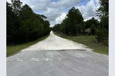00 SW 98th Street, Dunnellon, FL 34432 - Photo 5