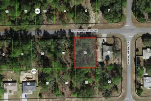 686 W Hummingbird Dr, Citrus Springs, FL 34434 - Photo 1