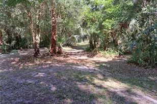 5672 Ave H, Mc Intosh, FL 32664 - Photo 7