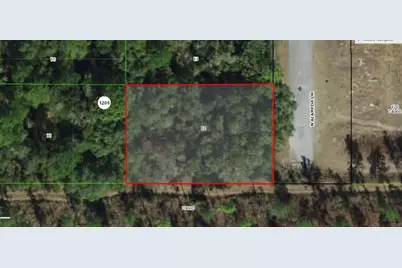 8000 N Alameda Drive, Dunnellon, FL 34434 - Photo 1