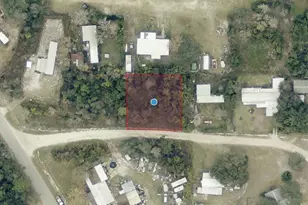 Tbd Palmetto Circle, Paisley, FL 32767 - Photo 1