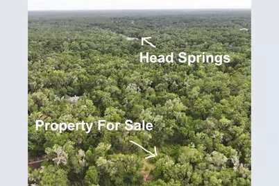 18731 SW 79th Place, Dunnellon, FL 34432 - Photo 3