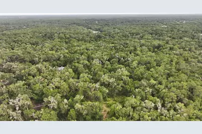 18731 SW 79th Place, Dunnellon, FL 34432 - Photo 3