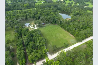14810 NW 185 Street, Williston, FL 32696 - Photo 5