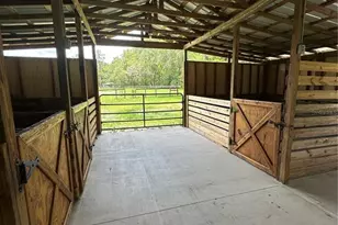 14810 NW 185th St, Williston, FL 32696 - Photo 21