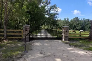 14810 NW 185th St, Williston, FL 32696 - Photo 3
