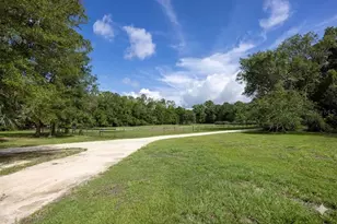 14810 NW 185th St, Williston, FL 32696 - Photo 73