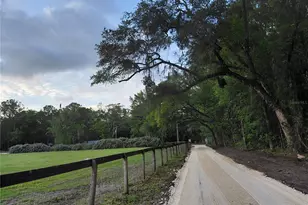 14810 NW 185th St, Williston, FL 32696 - Photo 33