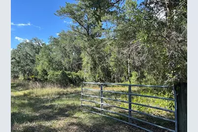 10415 NE 142nd Place, Fort Mc Coy, FL 32134 - Photo 7