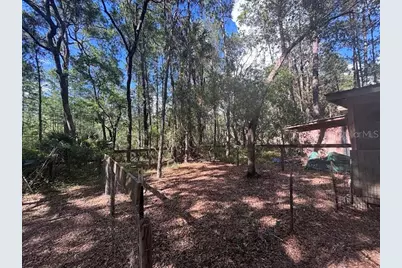 10415 NE 142nd Place, Fort Mc Coy, FL 32134 - Photo 3