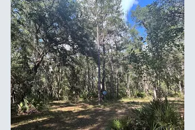 10415 NE 142nd Place, Fort Mc Coy, FL 32134 - Photo 21