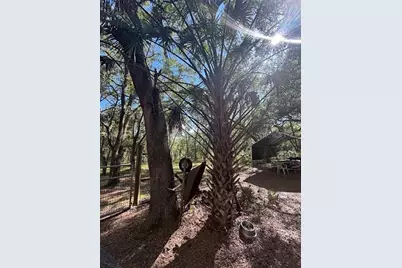 10415 NE 142nd Place, Fort Mc Coy, FL 32134 - Photo 23