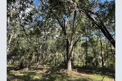 10415 NE 142nd Place, Fort Mc Coy, FL 32134 - Photo 9
