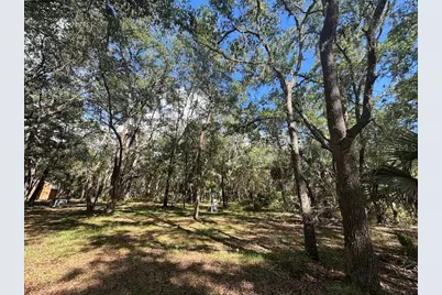 10415 NE 142nd Place, Fort Mc Coy, FL 32134 - Photo 11