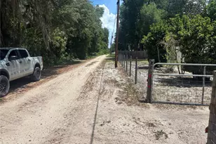 2695 NE 147th Ct, Silver Springs, FL 34488 - Photo 3