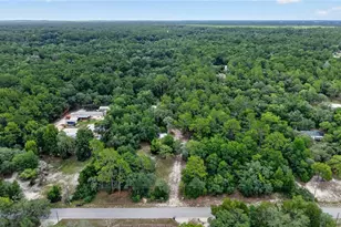 4001 SW 189th Ave, Dunnellon, FL 34432 - Photo 15