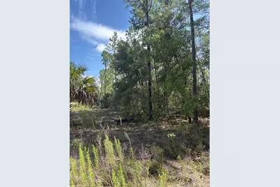 Tba Redwing Road, Dunnellon, FL 34431 - Photo 1