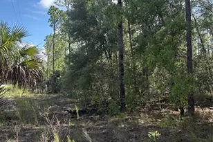 Tba Redwing Rd, Dunnellon, FL 34431 - Photo 1