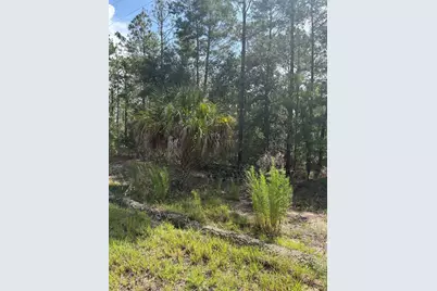 Tba Redwing Road, Dunnellon, FL 34431 - Photo 3
