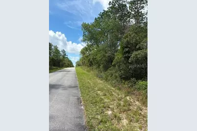 Tba SW Winding Hills Road, Dunnellon, FL 34431 - Photo 3