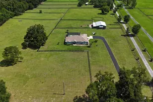 16421 W Hwy 326, Morriston, FL 32668 - Photo 3