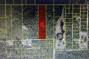 Tbd NE 158th St, Fort Mc Coy, FL 32134 - Photo 1