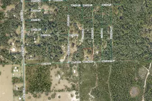 15265 Country Club Blvd, Fort Mc Coy, FL 32134 - Photo 41