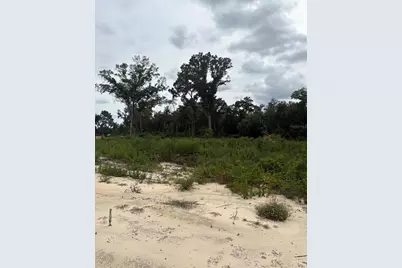 7200 E Highway 25, Belleview, FL 34420 - Photo 5
