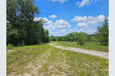 3814 W Rancetta Street, Dunnellon, FL 34433 - Photo 5