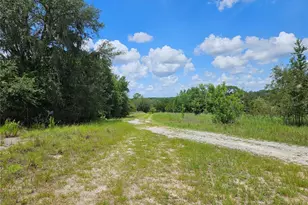 3814 W Rancetta St, Dunnellon, FL 34433 - Photo 5