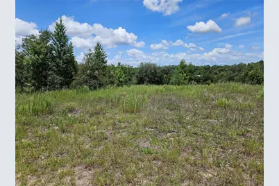 3814 W Rancetta Street, Dunnellon, FL 34433 - Photo 3