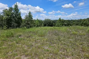 3814 W Rancetta St, Dunnellon, FL 34433 - Photo 3