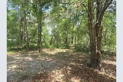 8467 N Empire Avenue, Citrus Springs, FL 34433 - Photo 11