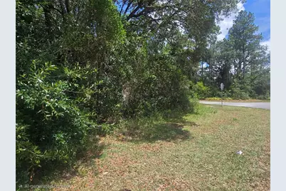 8467 N Empire Avenue, Citrus Springs, FL 34433 - Photo 5