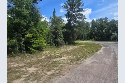 8365 N Ibsen Drive, Citrus Springs, FL 34433 - Photo 1