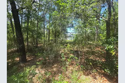 8365 N Ibsen Drive, Citrus Springs, FL 34433 - Photo 7