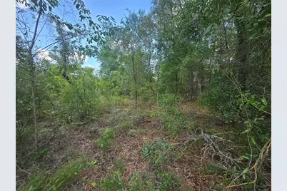 8365 N Ibsen Drive, Citrus Springs, FL 34433 - Photo 5