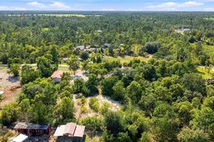 2251 SE 136 Ave, Morriston, FL 32668 - Photo 49