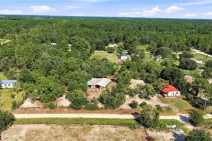 2251 SE 136 Ave, Morriston, FL 32668 - Photo 45