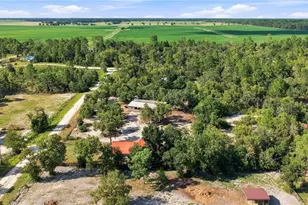 2251 SE 136 Ave, Morriston, FL 32668 - Photo 47