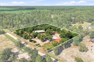2251 SE 136 Ave, Morriston, FL 32668 - Photo 1