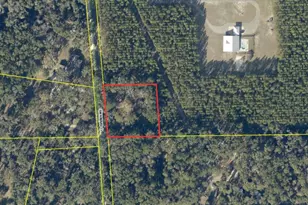367 SW Kinard Ct, Fort White, FL 32038 - Photo 5
