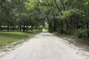 367 SW Kinard Ct, Fort White, FL 32038 - Photo 3