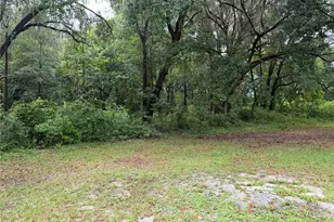 11455 NW 110th Ave, Reddick, FL 32686 - Photo 15