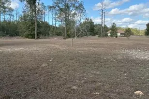 20929 SW Audubon Ave, Dunnellon, FL 34431 - Photo 49