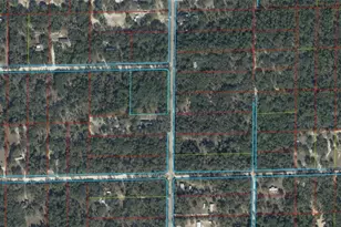 Tbd NE 118th Terrace, Bronson, FL 32621 - Photo 1