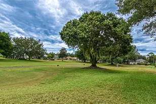 13260 SE 92nd Court Rd, Summerfield, FL 34491 - Photo 35